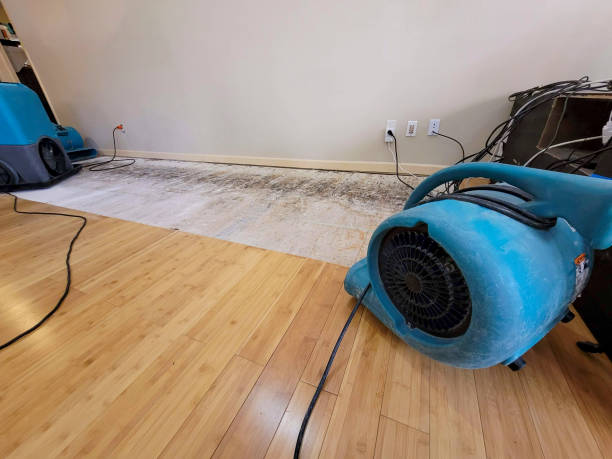 Professional Sewage Cleanup technician working in Green Valley, CA